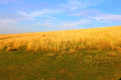 Scenic view of field against sky