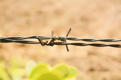 Close-up of barbed wire