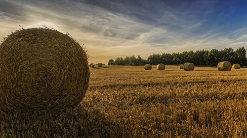 View of farm against sky