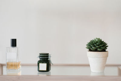 A succulent in a white ceramic pot and a candle in the decor of the room on the shelf