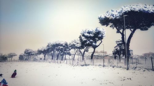 Bare trees on snow field against sky