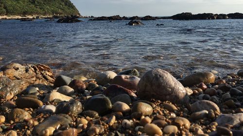 Pebbles on beach