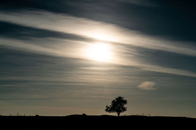 Silhouette trees on field against sky at sunset