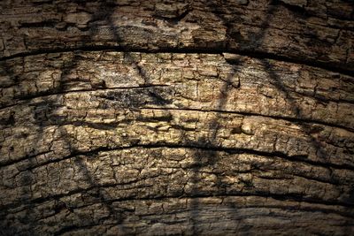 Full frame shot of stone wall