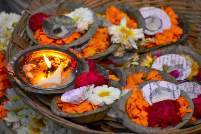 Close-up of various flowers in pot