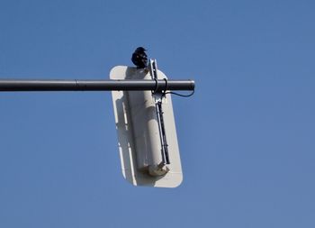 Low angle view of bird perching on semaphore against clear blue sky