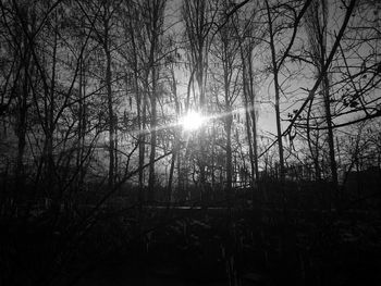 Low angle view of bare trees against sky