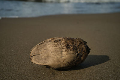 Close-up of heart shape on sand