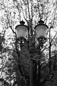 Low angle view of street light against trees