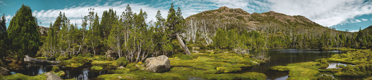 Panoramic view of lake and trees against sky