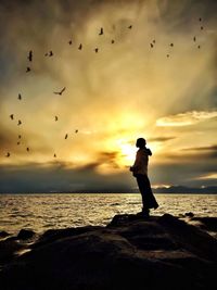 Silhouette of birds flying over sea