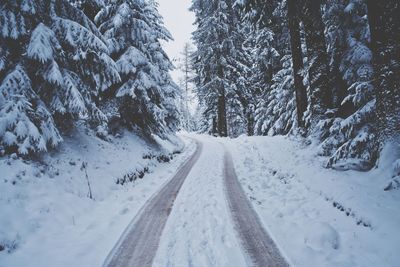 Trees on snow covered landscape