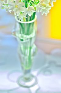 Close-up of drinking glass