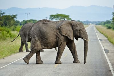 Car on road