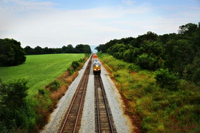 Railway tracks amidst trees against sky