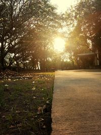 Trees on field against sky during sunset