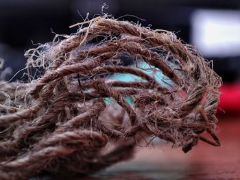 Close-up of rope on beach