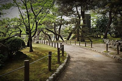 Empty footpath along trees