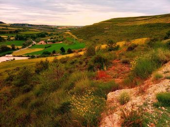 Scenic view of landscape against sky during sunset