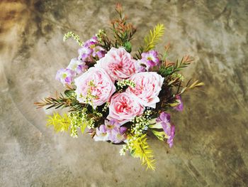 High angle view of pink flowering plant