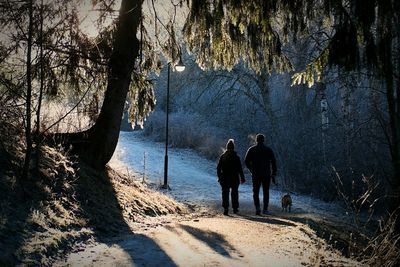 Rear view of people walking with dog at forest