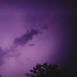 Low angle view of silhouette trees against sky at night