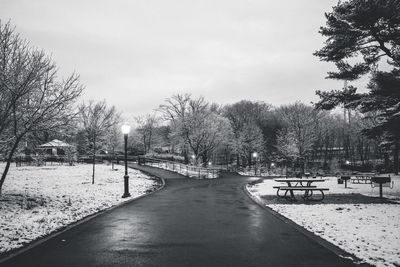 Empty road in park