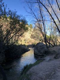 Scenic view of stream in forest against sky