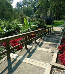 Plants and trees in park