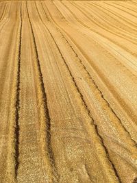 Full frame shot of agricultural field