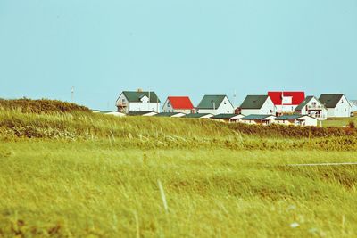 View of grassy field against clear sky