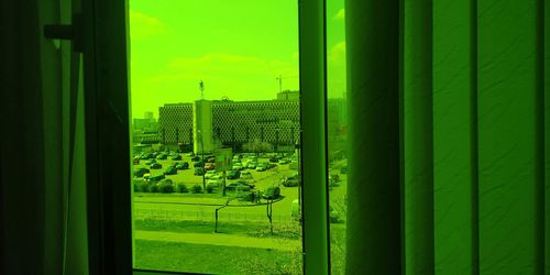 Trees seen through window of building