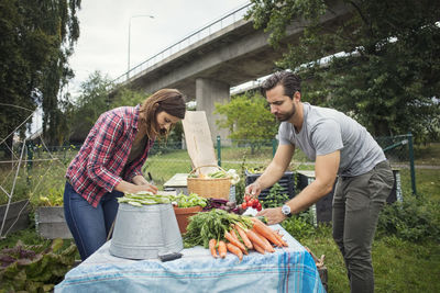 Side view of mid adult couple arranging garden vegetables on table