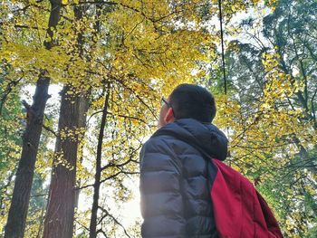 Low angle view of tree in forest