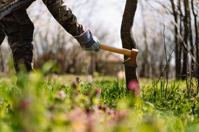 Low section of person with axe cutting tree in spring