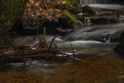 Scenic view of waterfall in forest