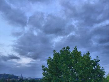 Low angle view of trees against cloudy sky