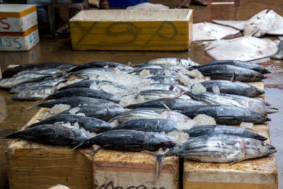 Fish for sale at market stall