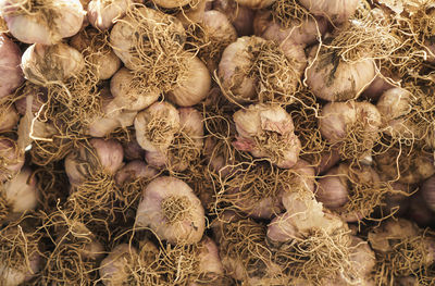 Full frame shot of dried for sale in market