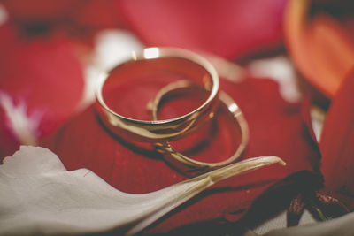 Close-up of red roses