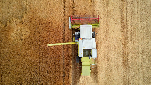 Harvester combine working in the field