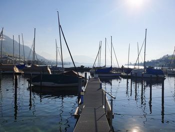 Sailboats in marina