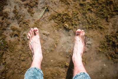 Low section of man standing in water