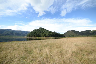 Scenic view of field against sky