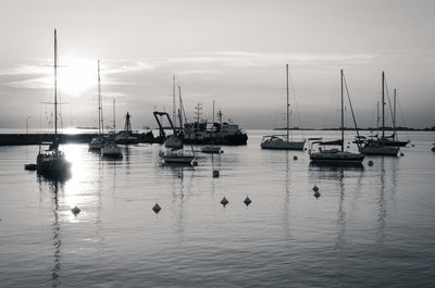 Sailboats moored on harbor against sky