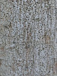 Full frame shot of stone wall