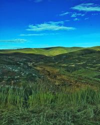 Scenic view of landscape against blue sky