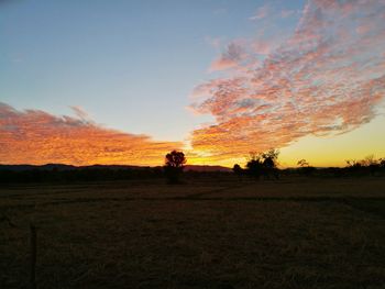 Scenic view of field against sky during sunset