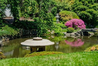 View of flowers growing on rock by trees