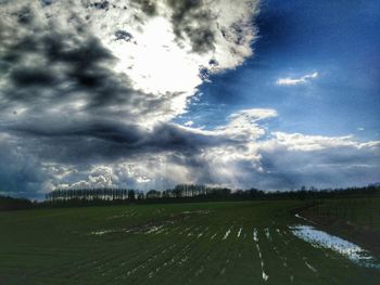 Scenic view of field against sky